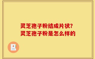灵芝孢子粉结成片状？灵芝孢子粉是怎么样的