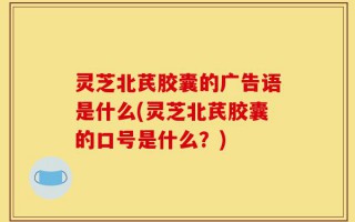 灵芝北芪胶囊的广告语是什么(灵芝北芪胶囊的口号是什么？)