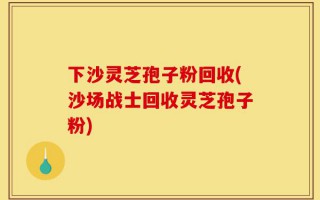 下沙灵芝孢子粉回收(沙场战士回收灵芝孢子粉)