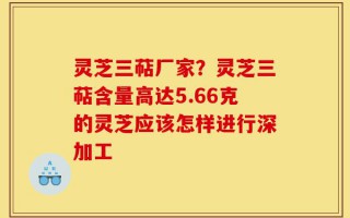 灵芝三萜厂家？灵芝三萜含量高达5.66克的灵芝应该怎样进行深加工