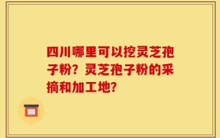 四川哪里可以挖灵芝孢子粉？灵芝孢子粉的采摘和加工地？