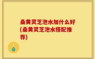 桑黄灵芝泡水加什么好(桑黄灵芝泡水搭配推荐)