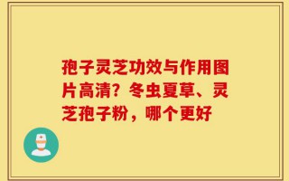 孢子灵芝功效与作用图片高清？冬虫夏草、灵芝孢子粉，哪个更好