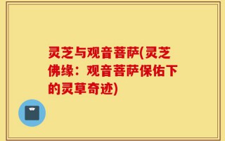 灵芝与观音菩萨(灵芝佛缘：观音菩萨保佑下的灵草奇迹)