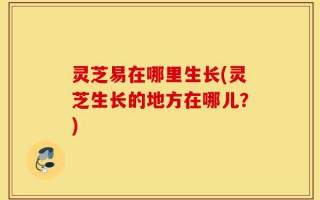 灵芝易在哪里生长(灵芝生长的地方在哪儿？)