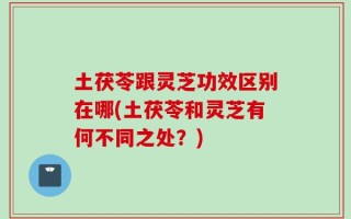 土茯苓跟灵芝功效区别在哪(土茯苓和灵芝有何不同之处？)