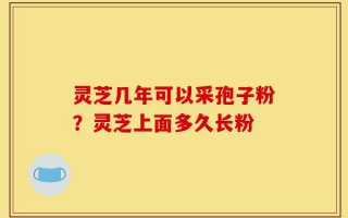 灵芝几年可以采孢子粉？灵芝上面多久长粉