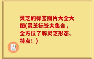 灵芝的标签图片大全大图(灵芝标签大集合，全方位了解灵芝形态、特点！)