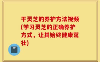 干灵芝的养护方法视频(学习灵芝的正确养护方式，让其始终健康茁壮)