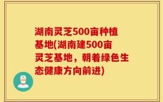 湖南灵芝500亩种植基地(湖南建500亩灵芝基地，朝着绿色生态健康方向前进)