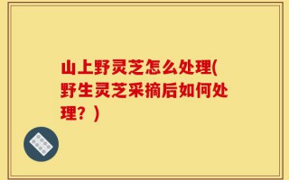 山上野灵芝怎么处理(野生灵芝采摘后如何处理？)