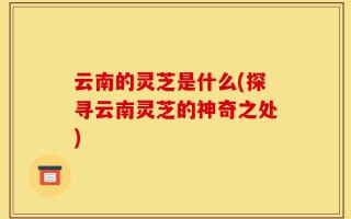 云南的灵芝是什么(探寻云南灵芝的神奇之处)