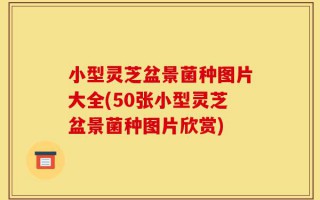 小型灵芝盆景菌种图片大全(50张小型灵芝盆景菌种图片欣赏)