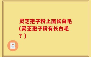灵芝孢子粉上面长白毛(灵芝孢子粉有长白毛？)