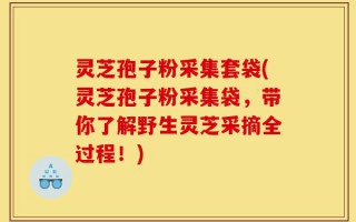 灵芝孢子粉采集套袋(灵芝孢子粉采集袋，带你了解野生灵芝采摘全过程！)