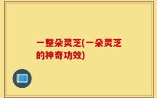 一整朵灵芝(一朵灵芝的神奇功效)