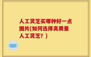 人工灵芝买哪种好一点图片(如何选择高质量人工灵芝？)