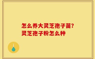 怎么养大灵芝孢子苗？灵芝孢子粉怎么种