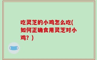 吃灵芝的小鸡怎么吃(如何正确食用灵芝对小鸡？)