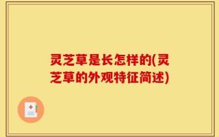 灵芝草是长怎样的(灵芝草的外观特征简述)