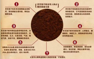 灵芝孢子粉的功效与作用和海参有冲突吗？可以同时吃吗？