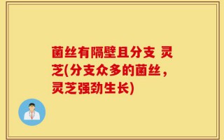 菌丝有隔壁且分支 灵芝(分支众多的菌丝，灵芝强劲生长)