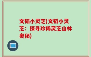 文韬小灵芝(文韬小灵芝：探寻珍稀灵芝山林奥秘)