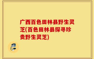广西百色田林县野生灵芝(百色田林县探寻珍贵野生灵芝)