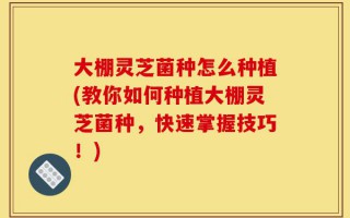 大棚灵芝菌种怎么种植(教你如何种植大棚灵芝菌种，快速掌握技巧！)