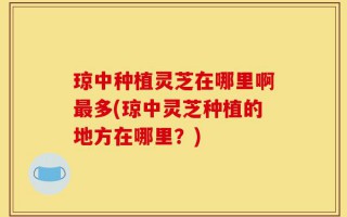 琼中种植灵芝在哪里啊最多(琼中灵芝种植的地方在哪里？)