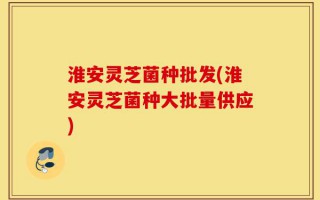 淮安灵芝菌种批发(淮安灵芝菌种大批量供应)