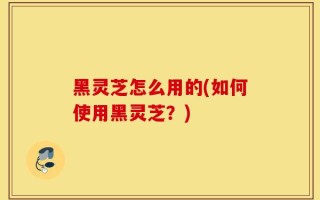 黑灵芝怎么用的(如何使用黑灵芝？)
