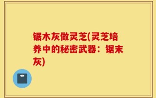 锯木灰做灵芝(灵芝培养中的秘密武器：锯末灰)