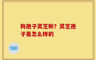 狗孢子灵芝粉？灵芝孢子是怎么样的