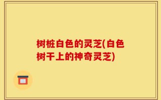 树桩白色的灵芝(白色树干上的神奇灵芝)