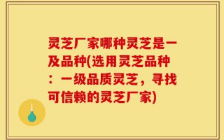 灵芝厂家哪种灵芝是一及品种(选用灵芝品种：一级品质灵芝，寻找可信赖的灵芝厂家)