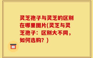 灵芝孢子与灵芝的区别在哪里图片(灵芝与灵芝孢子：区别大不同，如何选购？)