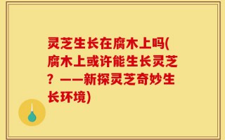灵芝生长在腐木上吗(腐木上或许能生长灵芝？——新探灵芝奇妙生长环境)