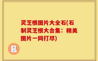 灵芝根图片大全石(石制灵芝根大合集：精美图片一网打尽)