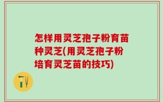 怎样用灵芝孢子粉育苗种灵芝(用灵芝孢子粉培育灵芝苗的技巧)