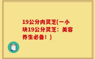 19公分肉灵芝(一小块19公分灵芝：美容养生必备！)