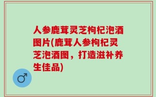 人参鹿茸灵芝枸杞泡酒图片(鹿茸人参枸杞灵芝泡酒图，打造滋补养生佳品)