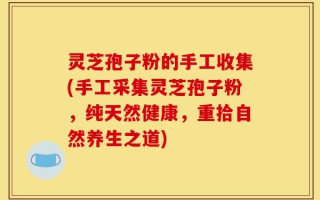 灵芝孢子粉的手工收集(手工采集灵芝孢子粉，纯天然健康，重拾自然养生之道)