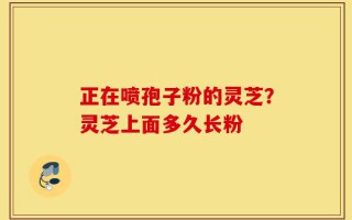 正在喷孢子粉的灵芝？灵芝上面多久长粉