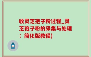 收灵芝孢子粉过程_灵芝孢子粉的采集与处理：简化版教程)