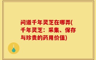 问道千年灵芝在哪弄(千年灵芝：采集、保存与珍贵的药用价值)