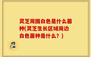 灵芝周围白色是什么菌种(灵芝生长区域周边白色菌种是什么？)