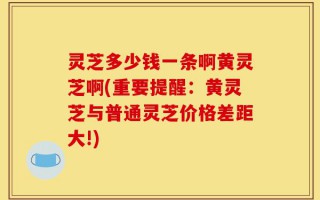 灵芝多少钱一条啊黄灵芝啊(重要提醒：黄灵芝与普通灵芝价格差距大!)