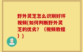 野外灵芝怎么识别好坏视频(如何判断野外灵芝的优劣？（视频教程）)