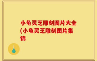 小龟灵芝雕刻图片大全(小龟灵芝雕刻图片集锦
